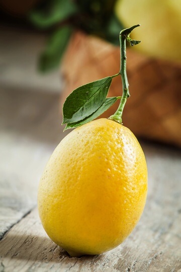 Unser Eis