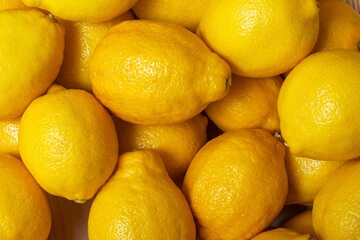 frische Zitronen für unser Zitronensorbet